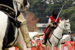 Jousting