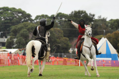 Horseback Fighting