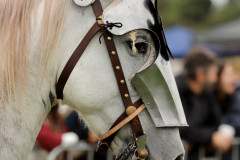 IMG_1520-web-Large